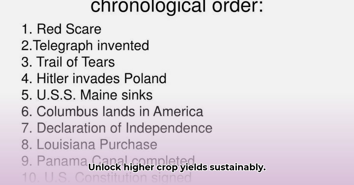 place-the-following-events-in-chronological-order